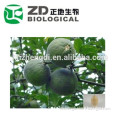 best quality Citrus Aurantium Extract Synephrine 98% CAS No.:94-07-5 in bulk supply